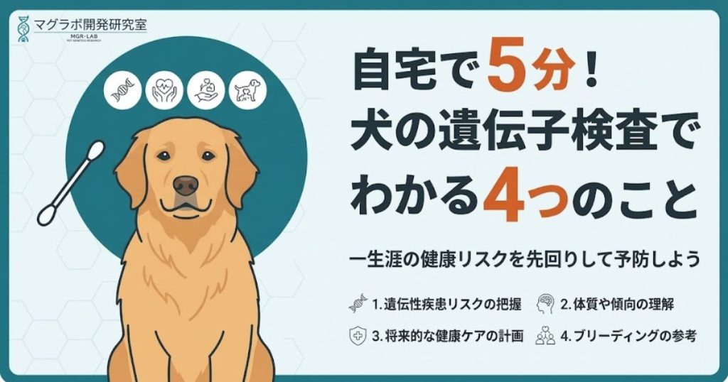 犬の遺伝子検査の解説アイキャッチ。自宅で5分でできる検査でわかる4つのことや一生涯の健康リスク予防について訴求