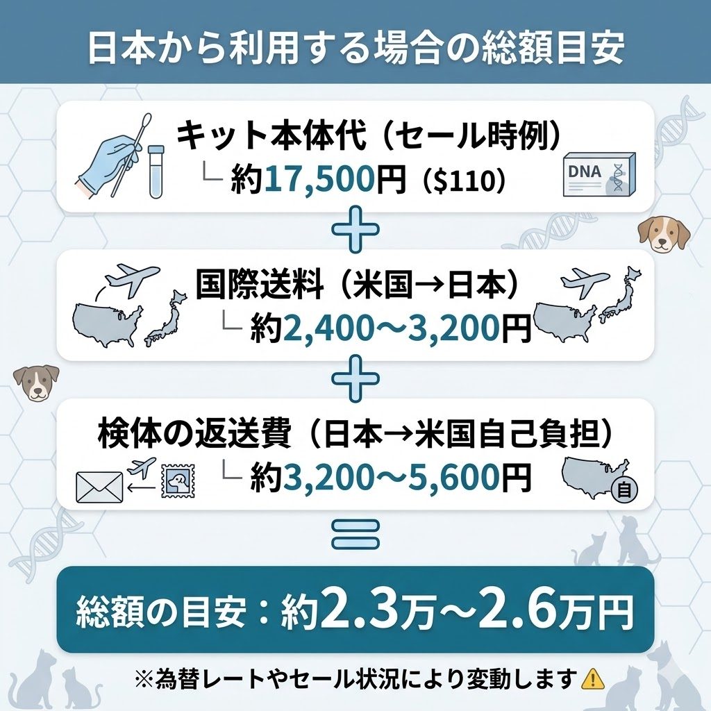 Embarkを日本から利用する際の実費シミュレーション。キット代金に加えて国際送料と自己負担の返送費がかかり、総額目安は約2.3万〜2.6万円になることを図解