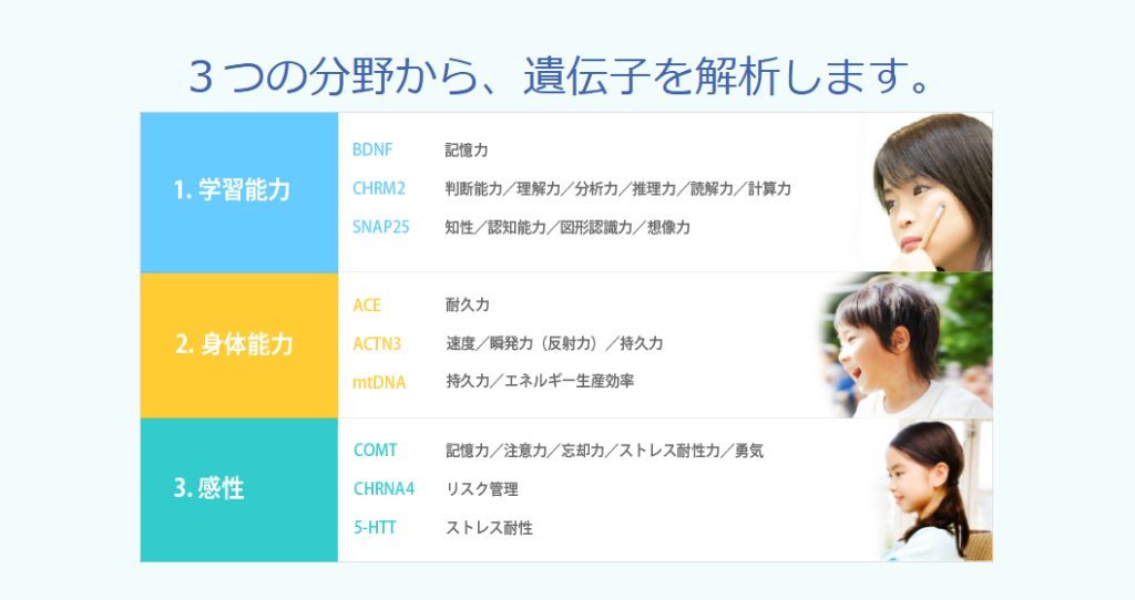 GIQ子ども能力遺伝子検査の公式サイトに掲載されている分析内容